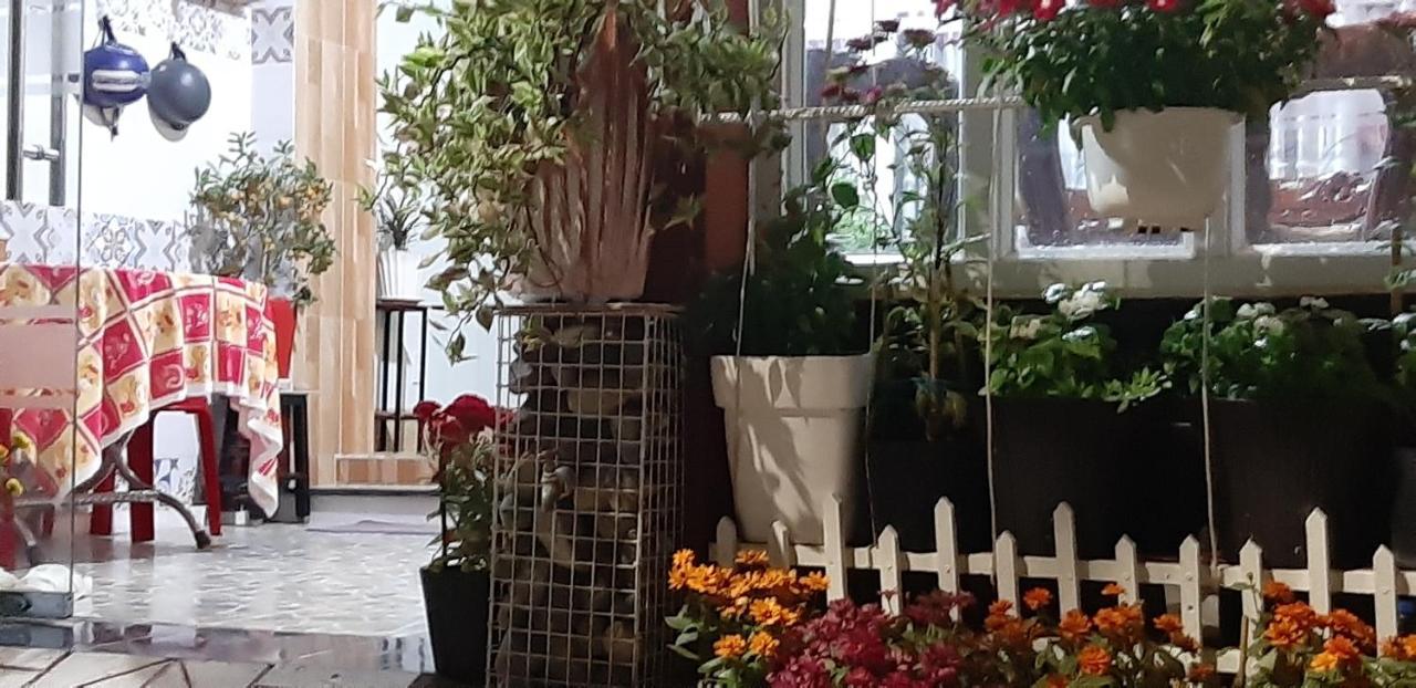 Homstay Thanh Son Chi Khu Co Ong Εξωτερικό φωτογραφία