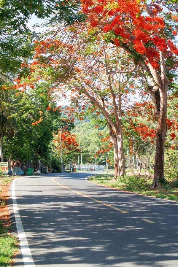 Homstay Thanh Son Chi Khu Co Ong Εξωτερικό φωτογραφία